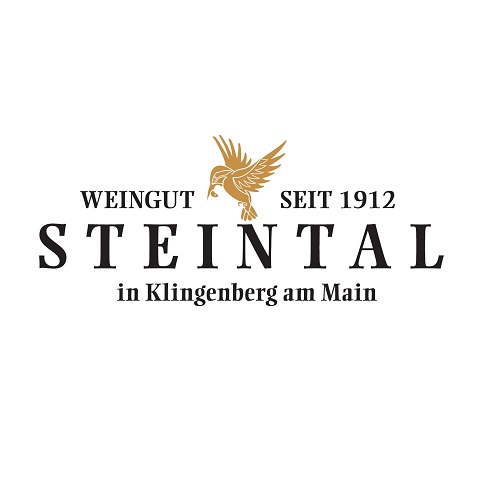 logo Steintal